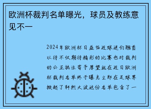 欧洲杯裁判名单曝光，球员及教练意见不一